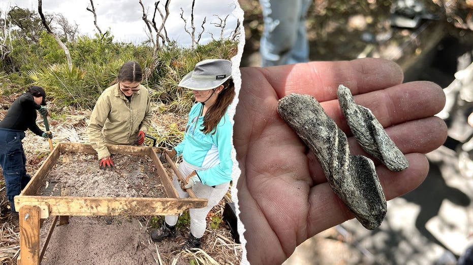 Ancient artifacts found beneath Cape Canaveral Space Force Station as one mystery still stumps researchers Newcastle Accountants