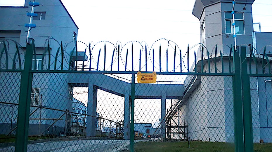 Mother recounts horrors of brutal Chinese detention camp where infant son died Newcastle Accountants
